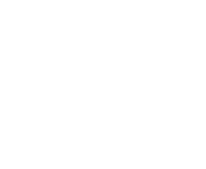 msteck-blanco